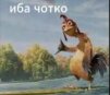 ROMANJEBSAKBEEI9228378